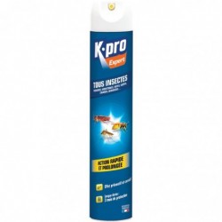 Aérosol Kpro Expert - 500 ml sans odeur
