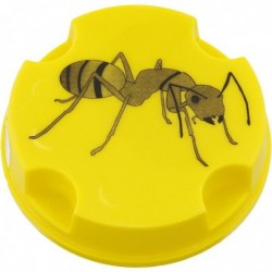 Appat-fourmis gel boîte Masy - Boîte de 10 g