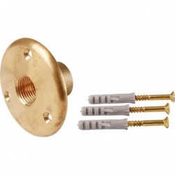 Applique sortie de cloison laiton - Watts industries - F 1/2"