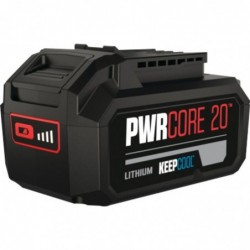 Batterie Li-Ion 18 V - Skil - 5