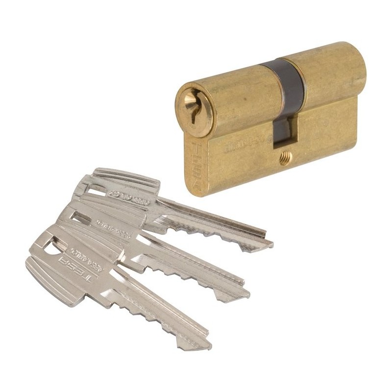 Cylindre à 2 entrées TE5 - Laiton - Varié