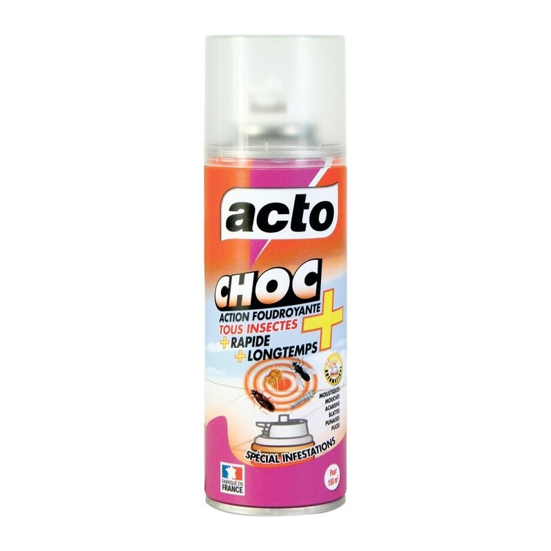 Insecticide tous insectes spécial infestations Acto Choc - Acto - aérosol 100 ml