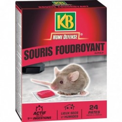 Pâte pour souris Action radicale - Home Défense - KB  - Etui 24 x 10 g