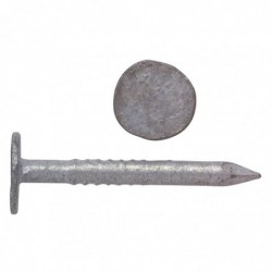 Pointe ardoise tête extra large Arcelor Mittal - Longueur 30 mm - Diamètre 2