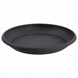 Soucoupe Marina - Anthracite