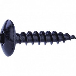 Vis penture - Fixpro - Tête fraisée bombée - TX - Acier zingué noir - Sachet