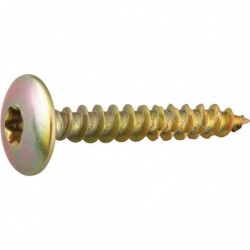 Vis penture - Viswood - Tête cylindrique bombée - TX - Acier zingué